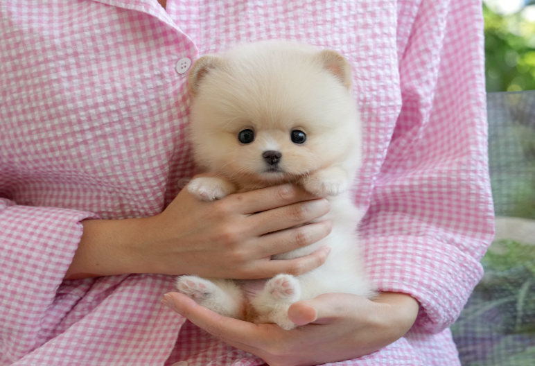 KakaoTalk_20260927_142407591.png