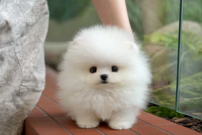 KakaoTalk_20260925_154611957.png