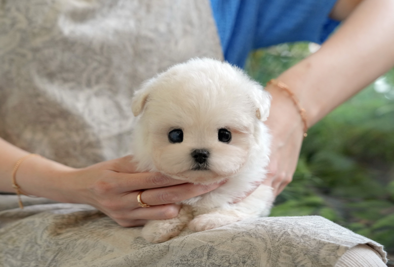 KakaoTalk_20261010_142642121.png