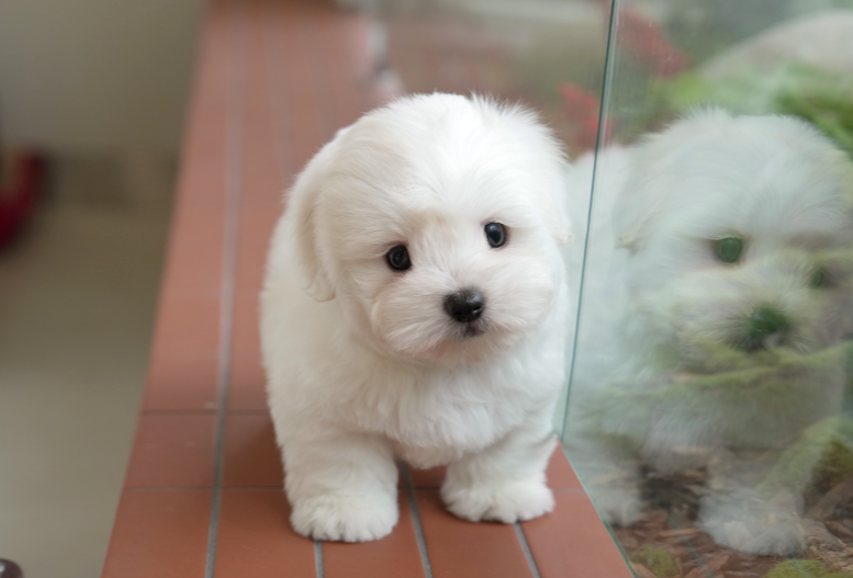 KakaoTalk_20261011_133237555.png