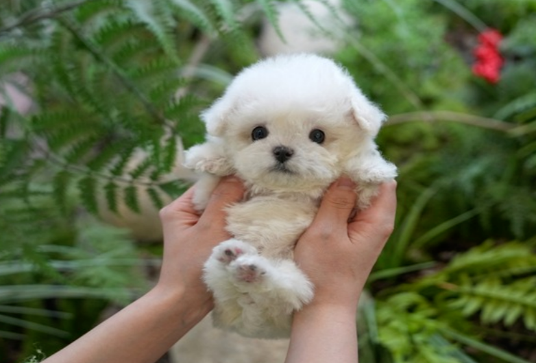 KakaoTalk_20260928_155027685.png
