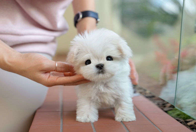 KakaoTalk_20260911_173148168.png
