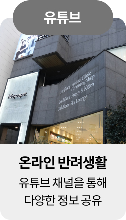 미유펫울산혜택_섹션1_11