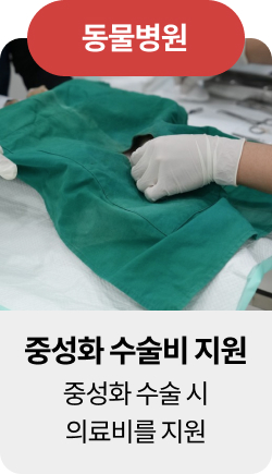미유펫울산혜택_섹션1_2