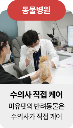 미유펫울산혜택_섹션1_4