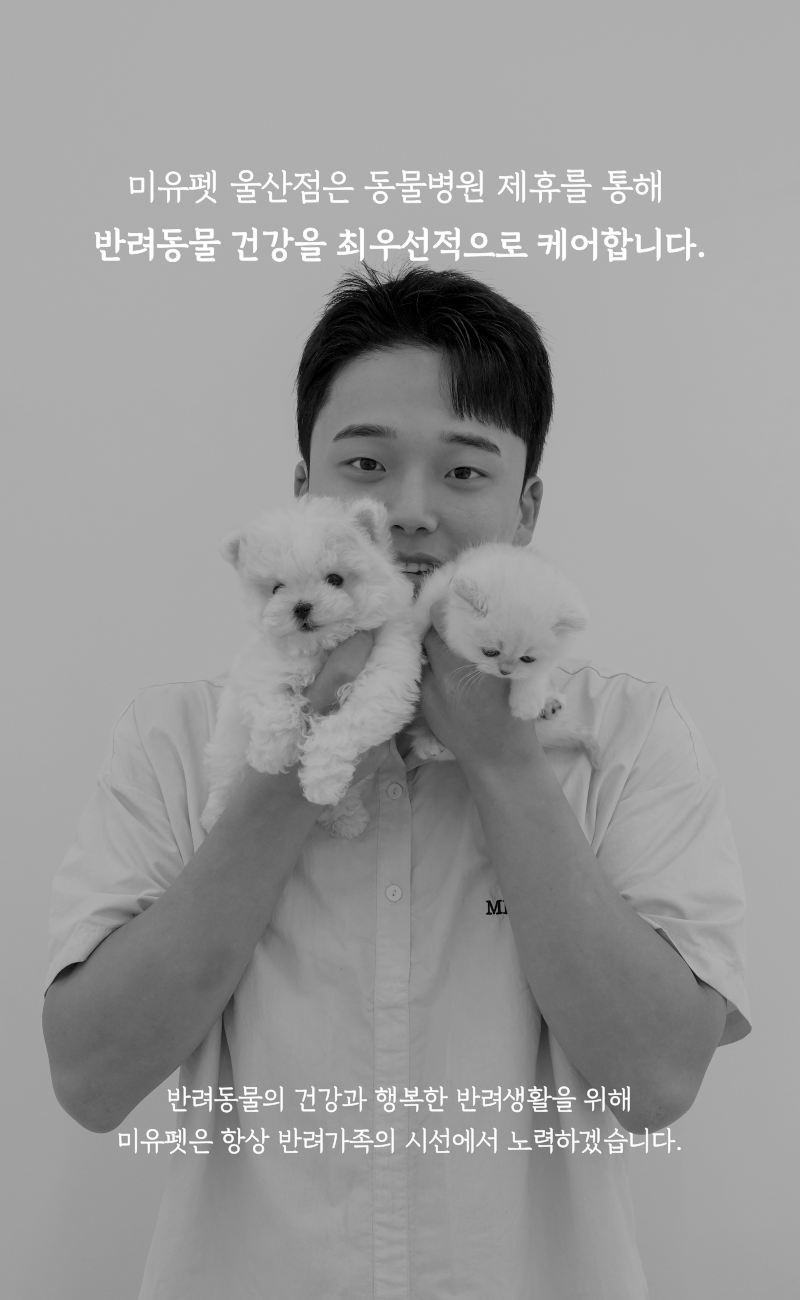 상세이미지_상단